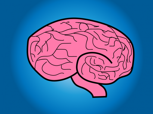 Brain-computer interface attempt