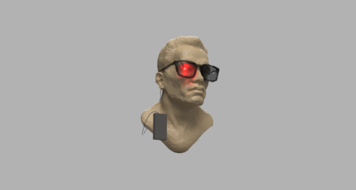 Terminator sunnies